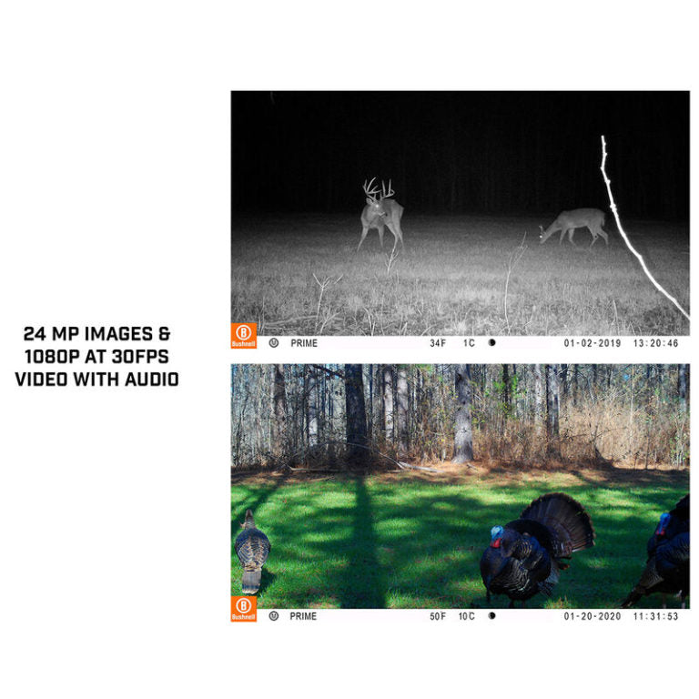 Bushnell 24MP Prime Low Glow Trail Camera Bushnell