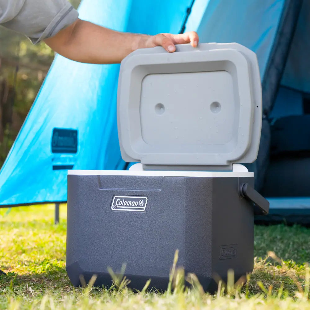 COLEMAN DAINTREE PERSONAL HARD COOLER 15L