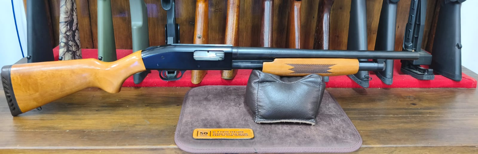Mossberg 12ga