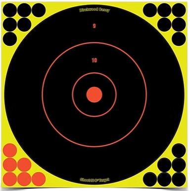 BC SHOOT•N•C® 12 INCH Bull's Eye Target (1)