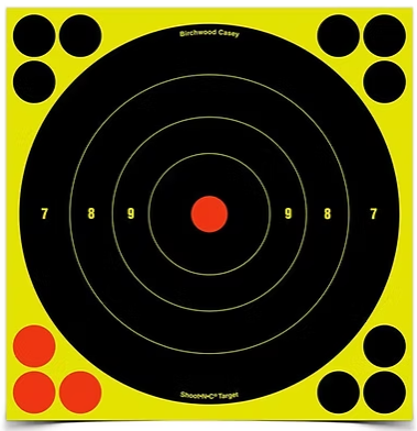BC SHOOT•N•C® 8 INCH Bull's Eye Target (1)