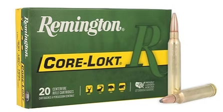 Remington Core-Lokt 300 Win Magnum 180 GR (20) Remington