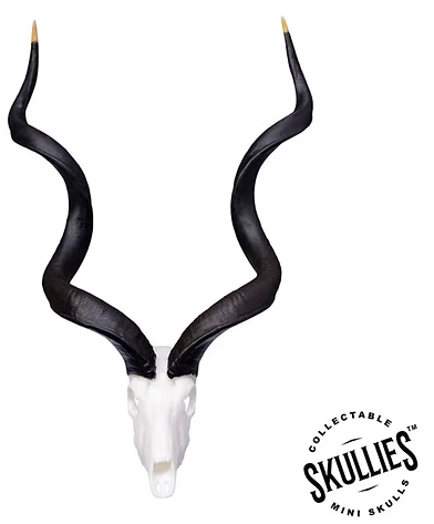 Skullies Miniature Resin Replica - Southern Greater Kudu Skull Skullies