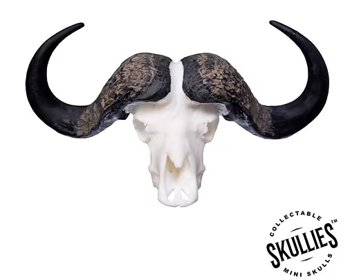 Skullies Miniature Resin Replica - Cape Buffalo Skull