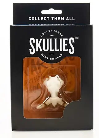 Skullies Miniature Resin Replica - Warthog Skull Skullies