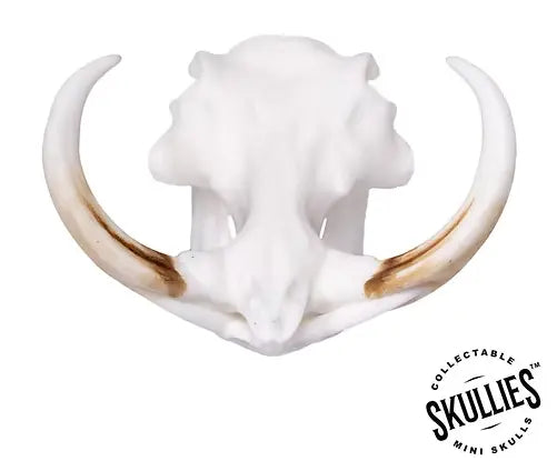 Skullies Miniature Resin Replica - Warthog Skull Skullies