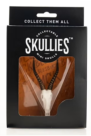 Skullies Miniature Resin Replica - Blesbok Skull Skullies