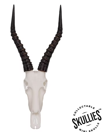 Skullies Miniature Resin Replica - Blesbok Skull Skullies