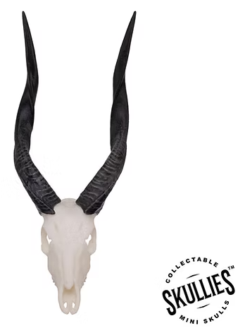 Skullies Miniature Resin Replica - Bushbuck Skull