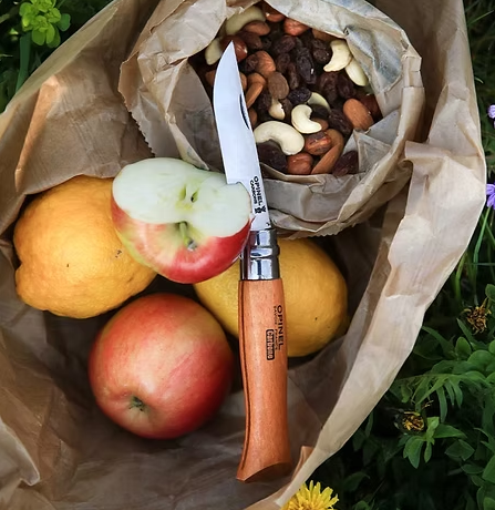 OPINEL No. 09 Carbon Steel Folding Knife Opinel