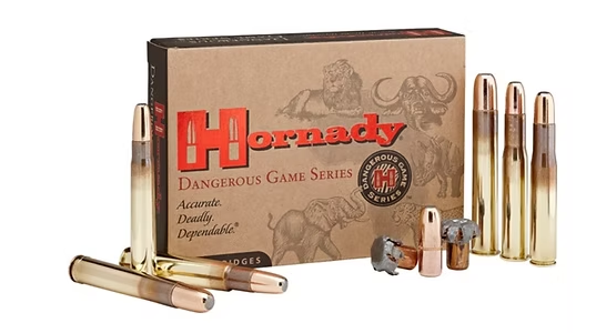 HORNADY 500 Nitro Express DGX® Bonded 570 GR (20) Hornady
