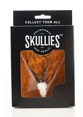Resin Skullies - Miniature Replica Springbuck Skull