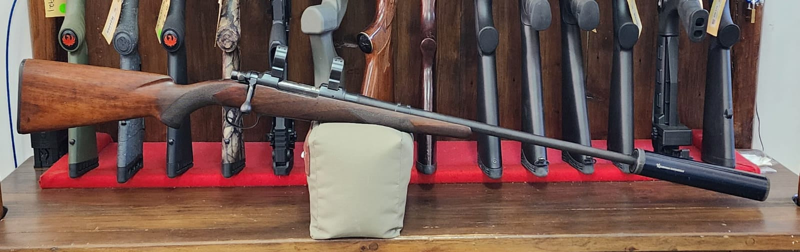 Brno 243 Win Includes rings and suppressor