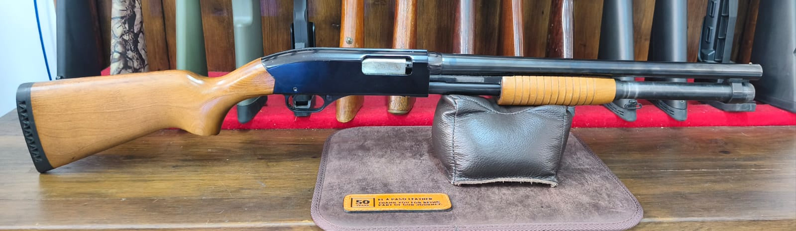 Winchester 12ga