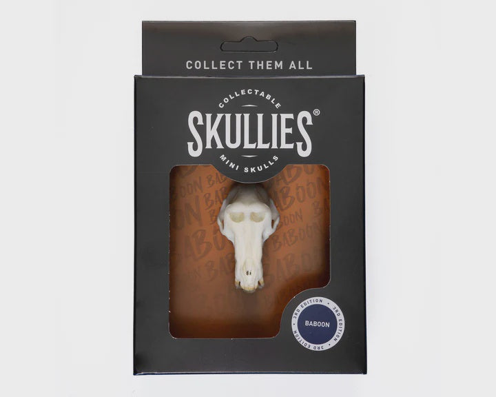 Skullies Miniature Resin Replica - Baboon Skull Skullies