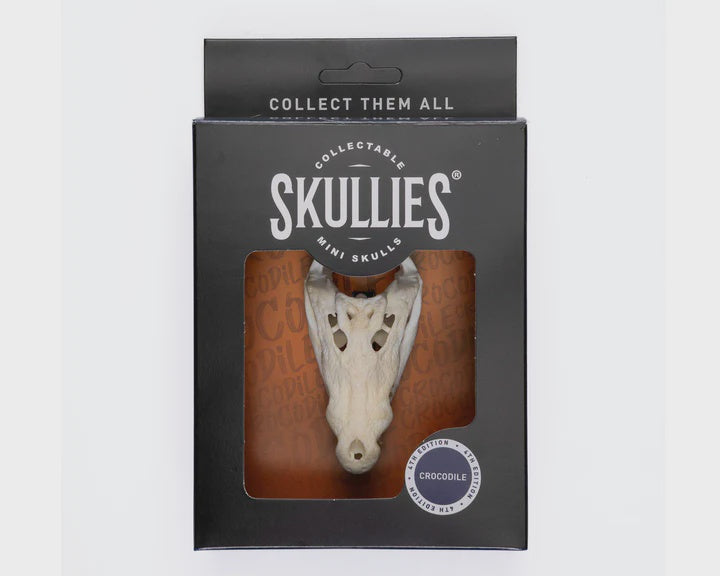 Resin Skullies - Miniature Crocodile Skull Skullies