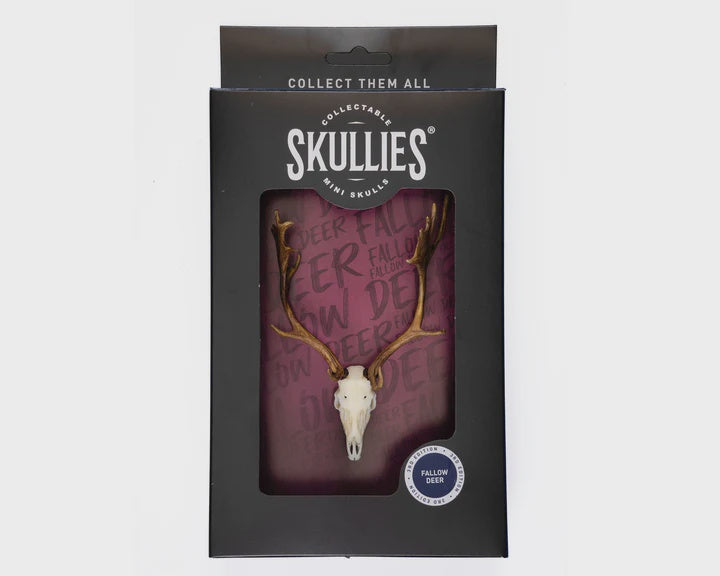 Resin Skullies - Miniature Replica Fallow Deer Skull Skullies