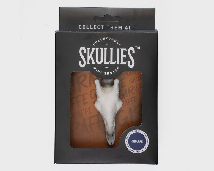 Skullies Miniature Resin Replica - Giraffe Skull Skullies