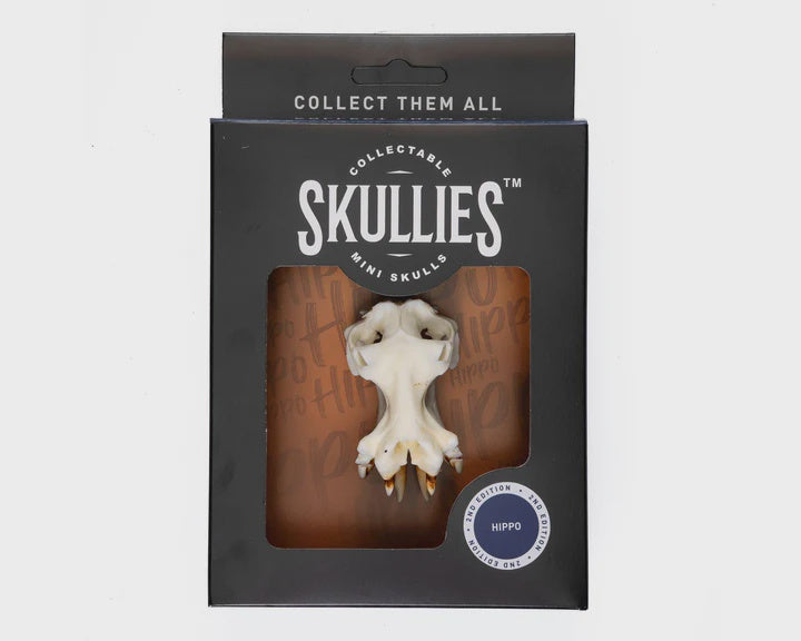 Skullies Miniature Resin Replica - Hippo Skull Skullies