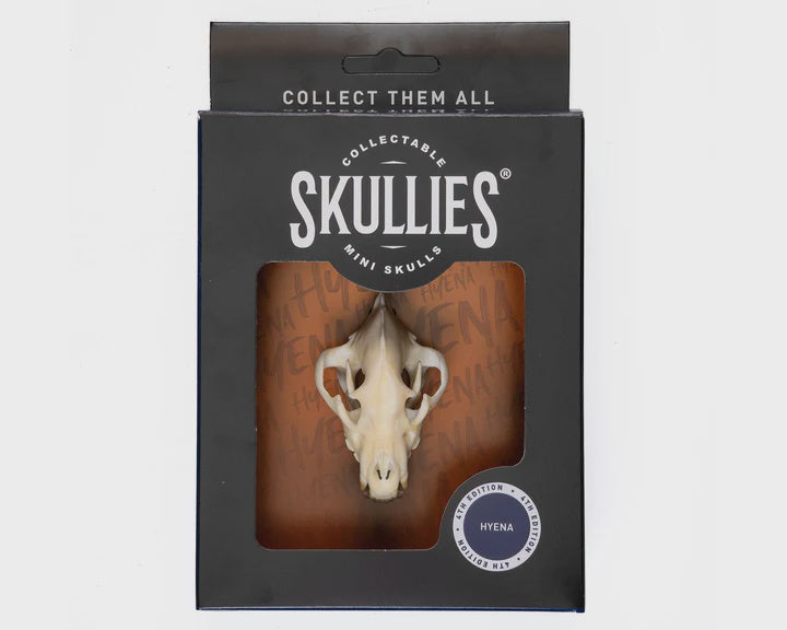 Resin Skullies - Miniature Hyena Skull Skullies