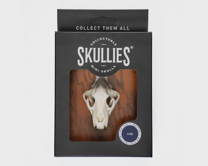 Skullies Miniature Resin Replica - Lion Skull Skullies