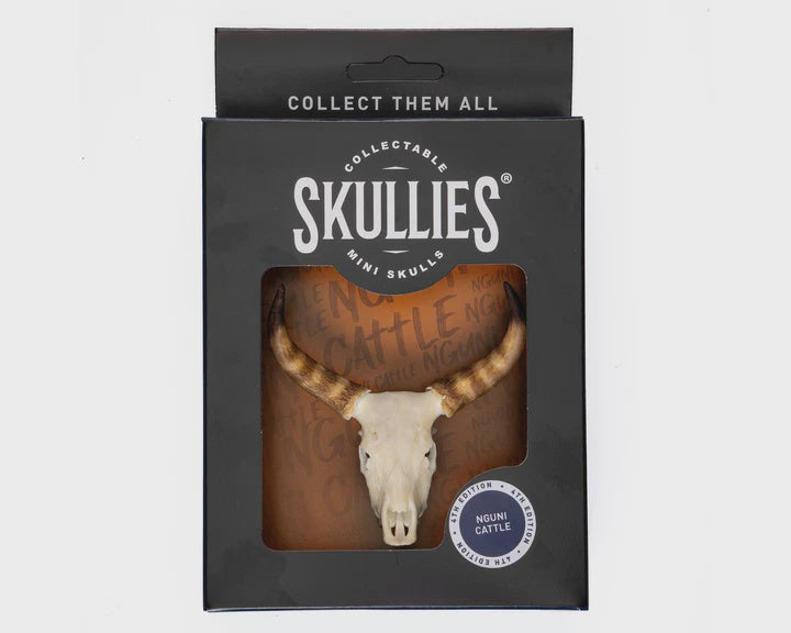 Resin Skullies - Miniature Nguni Skull Skullies