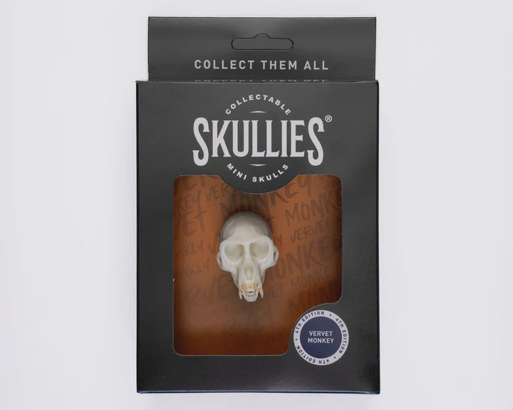 Resin Skullies - Miniature Vervet Monkey Skull Skullies