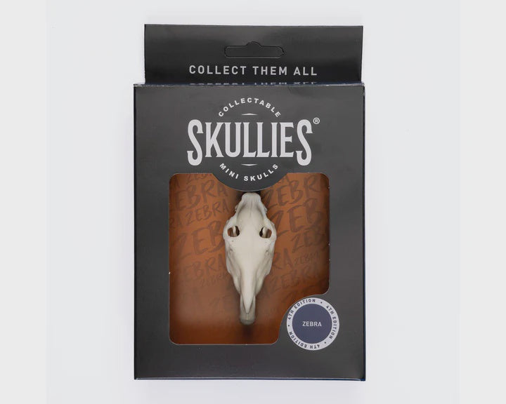 Resin Skullies - Miniature Zebra Skull Skullies
