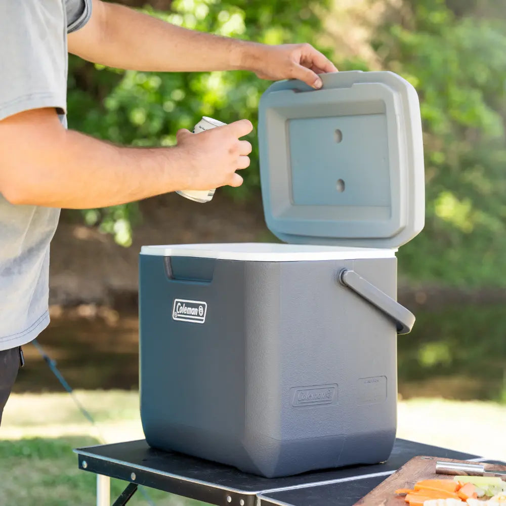 COLEMAN DAINTREE PERSONAL HARD COOLER 28L