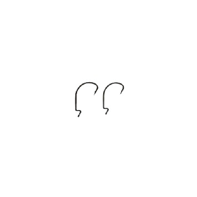 Adrenalin Bass Worm Hooks