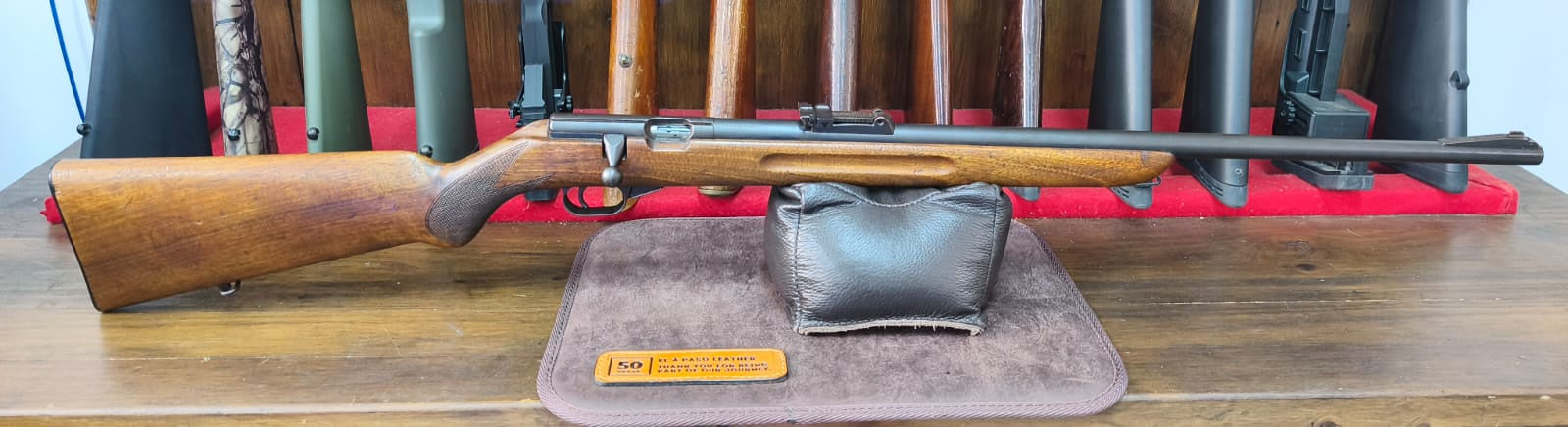 Mauser .22