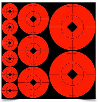BC TARGET SPOTS® Assorted Sizes Orange Targets (110)