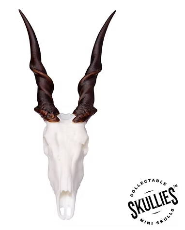 Skullies Miniature Resin Replica - Cape Eland Skull