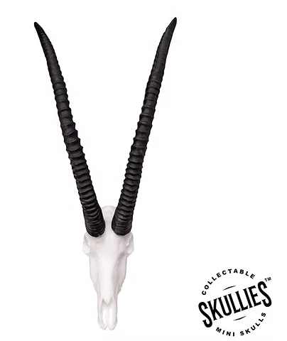 Skullies Miniature Resin Replica - Sable Skull