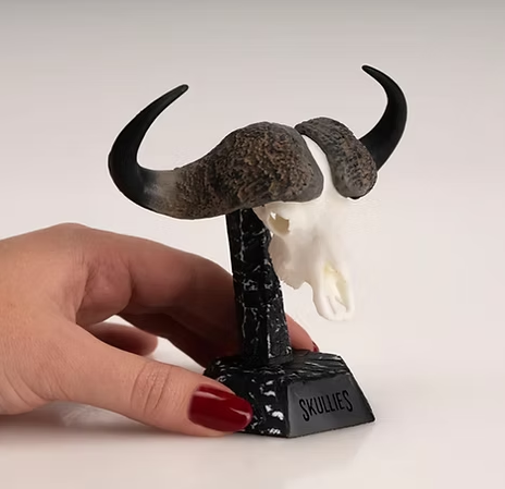 Skullies Display Stand