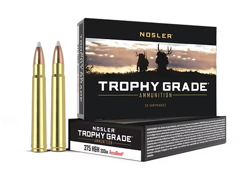NOSLER 375 H&H Mag AccuBond® Trophy Grade Ammunition 300 GR (20)