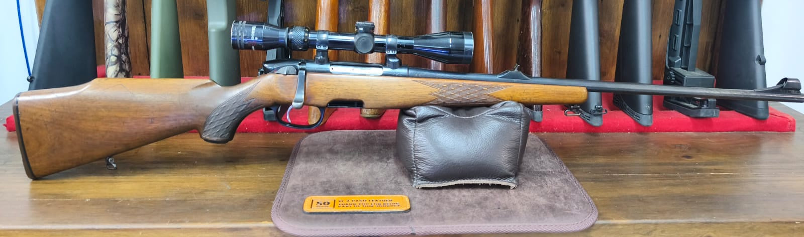 Steyr 308win