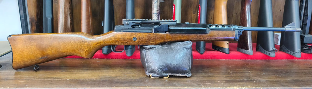 Ruger M14 223