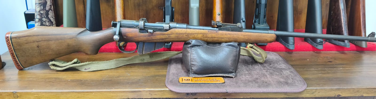 BSA 303